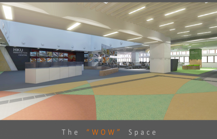 The WOW Space