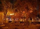 DSC 3093