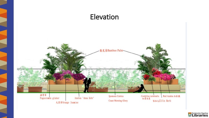 Planning for Roof Garden - Elevation