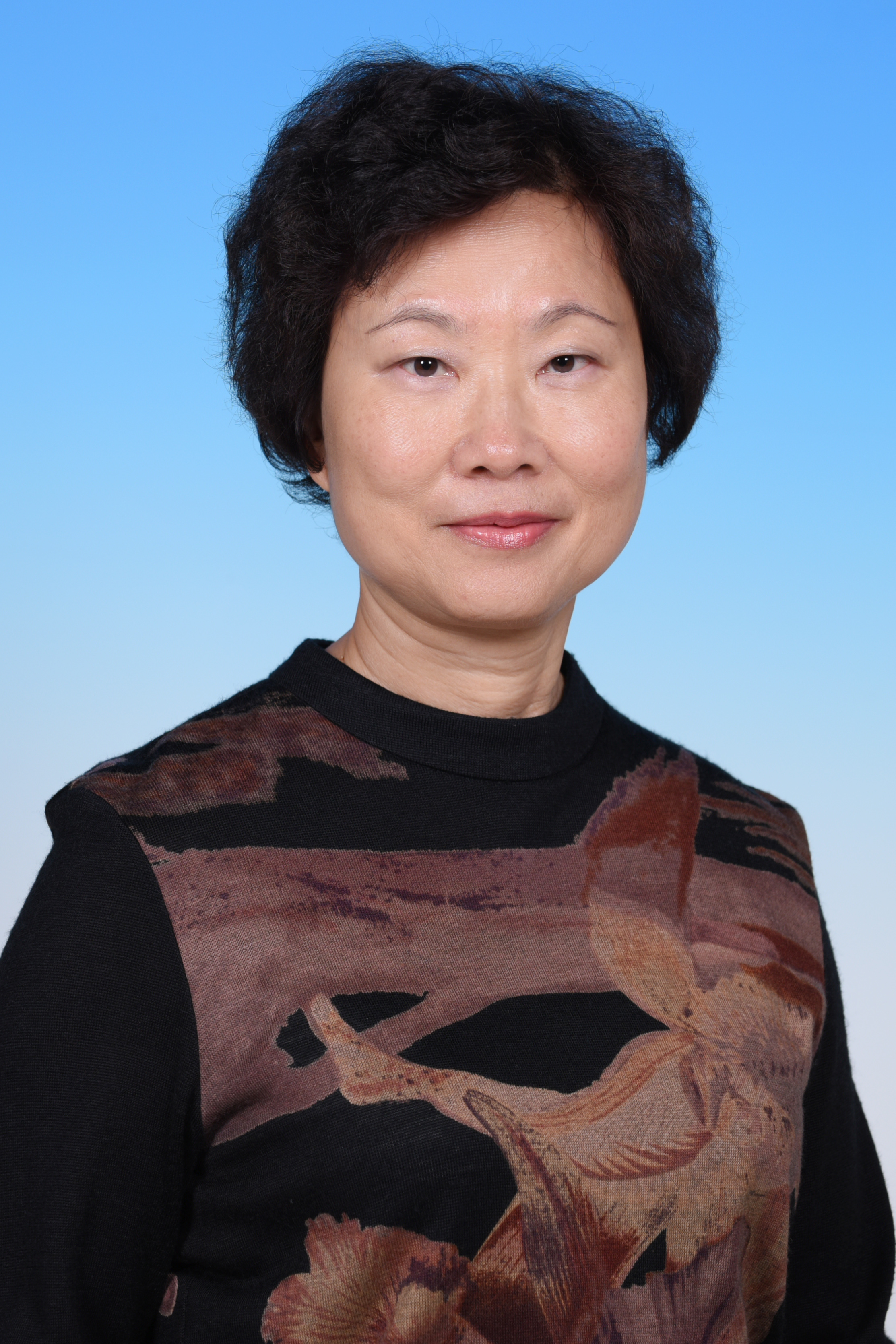 Ms Diana L.H. Chan's photo